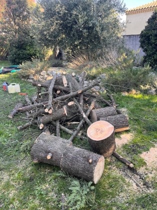 Ramassage et broyage des branches après élagage