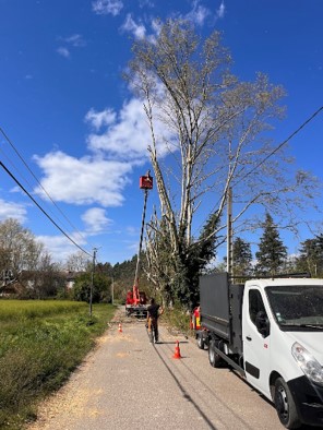 elagage d'arbres avec nacelle