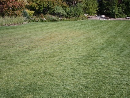 jardinier - tonte de pelouse