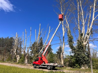 élagage avec nacelle